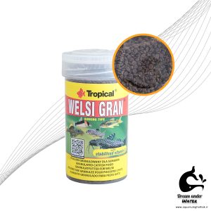 غذای ویفر ولسی گرن تروپیکال