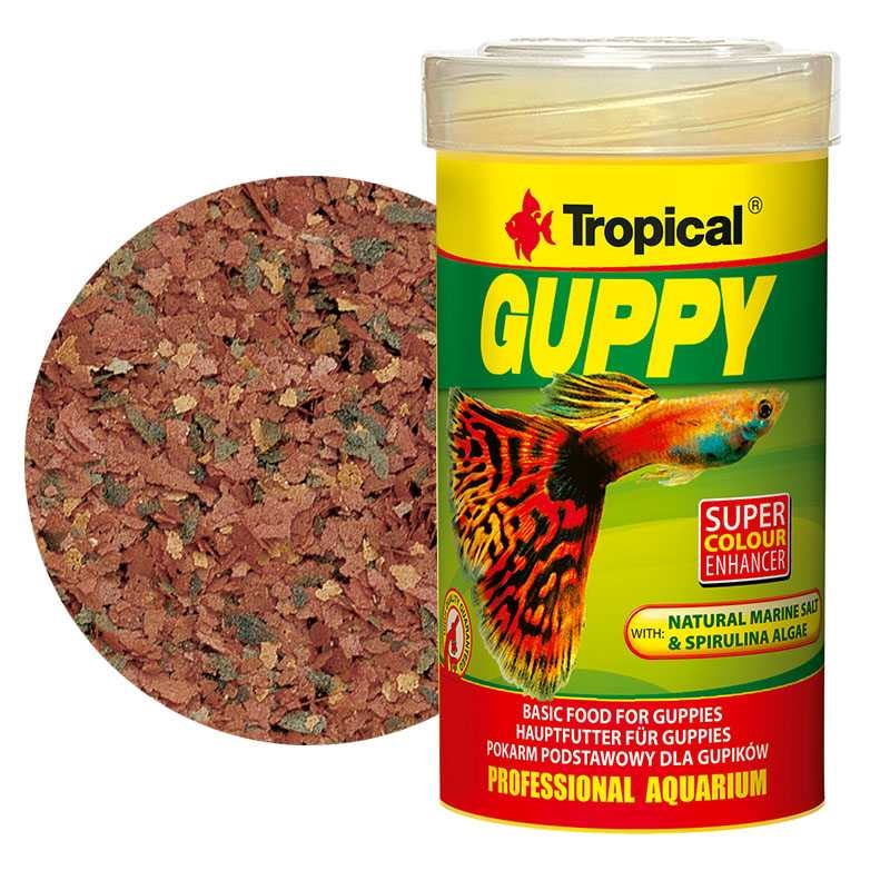 غذا پولکی گوپی تروپیکالTropical Guppy Flakes
