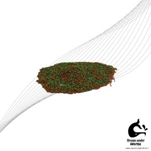 غذای ماهی گرانولی آکوا سایزS