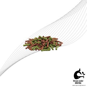 غذای ماهی استیکی کوی آکوا