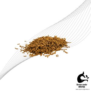 غذای ماهی استیکی آکوا