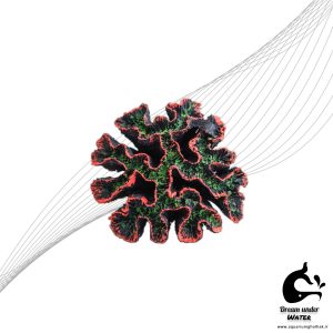 دکور مرجانی آکواریوم مدل ریف