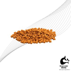 غذای گرانولی تترا انرژی 100 گرمی