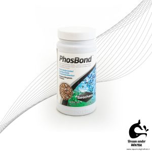 مدیای فوسباند سیچم