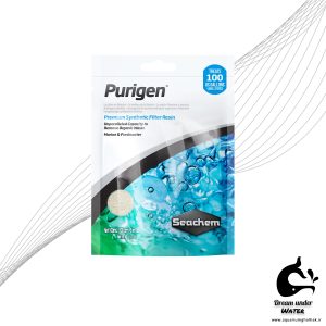 پیوریژن سیچم