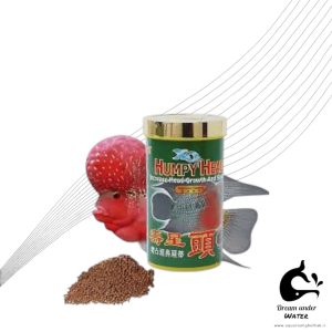 غذای ماهی فلاورهورن هامپی هد اوشن فری