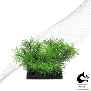 گیاه بهاره آکواریوم مدل رندوم H-15CM