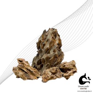 سنگ دراگون (Alveolate Dragon Stone) – سنگ آکواریومی طبیعی مناسب آکوآسکیپ